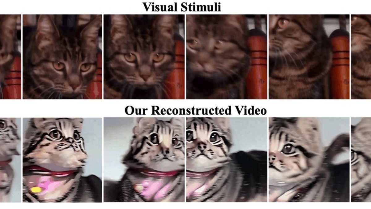 Beyin Dalgaları, Yapay Zeka Kullanılarak Videolara Dönüştürüldü