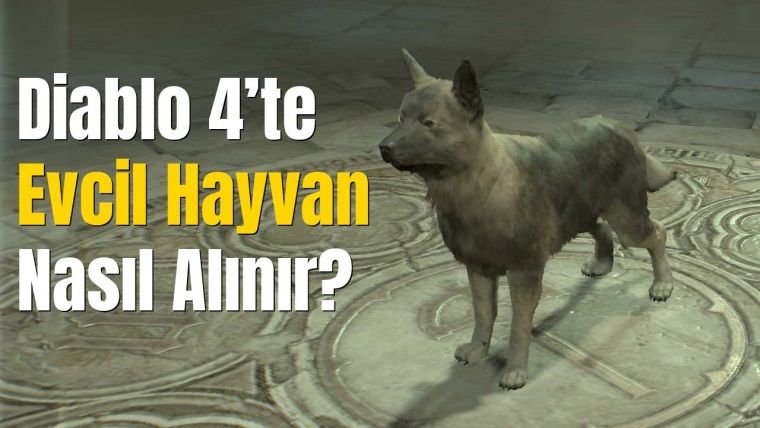 Diablo 4 Ücretsiz Evcil Hayvan Nasıl Alınır?