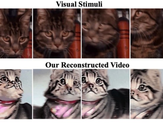 Beyin Dalgaları, Yapay Zeka Kullanılarak Videolara Dönüştürüldü